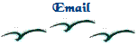 Email FloridaSDC