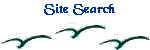 Site Search
